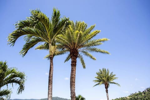 STAR VIEW 9, POOL, WIFI, SLEEP 4, BEST VIEWS IN AIRLIE Apartment in Airlie Beach