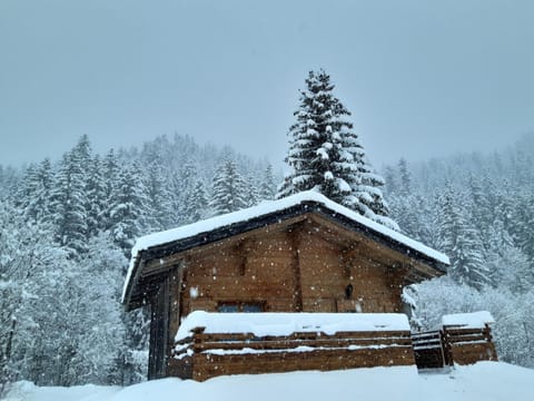 Property building, Winter