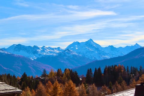 Hautes Roches - Magnifique vue sur la montagne Apartment in Crans-Montana