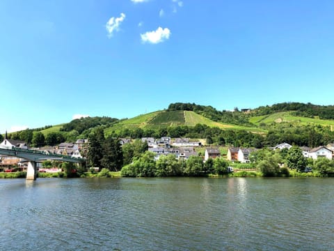 Neighbourhood, Natural landscape, Hiking, River view
