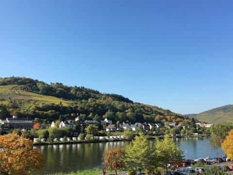 Natural landscape, River view