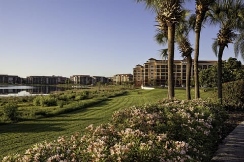 Natural landscape, Lake view