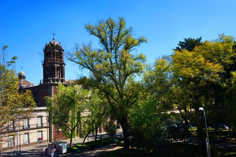 City view, Street view