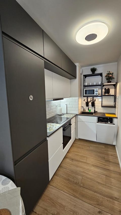 Kitchen or kitchenette, dishwasher, minibar, stove