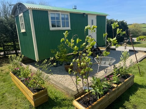 Toms Hut and Robins Rest Shepherd Huts near Wadebridge House in England
