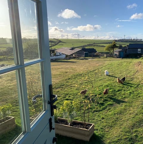 Toms Hut and Robins Rest Shepherd Huts near Wadebridge House in England