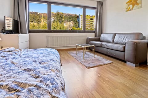 Living room, Mountain view