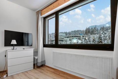 Natural landscape, Winter, TV and multimedia, Mountain view