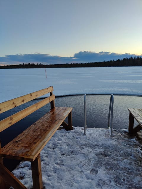 Natural landscape, Winter, Lake view