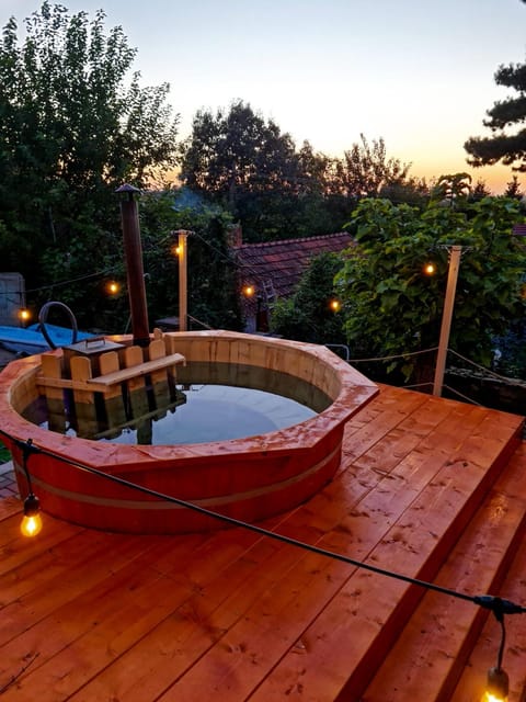 Vila cu Ciubar & Jacuzzi - Sunset Hill House Villa in Timiș County