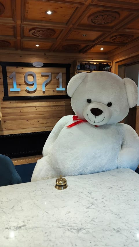 Hôtel Le Labrador 1971 Hotel in Les Gets