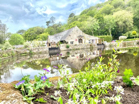 Natural landscape, Garden, Garden view, Lake view, River view