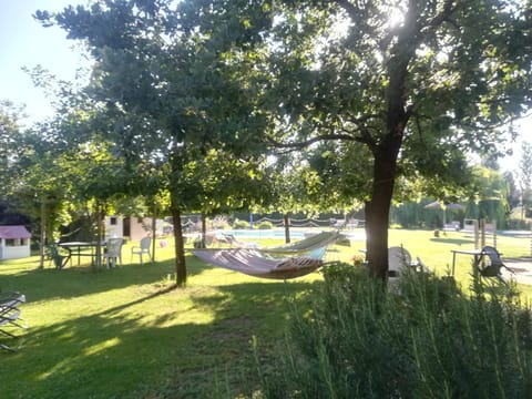 Garden, Decorative detail, Swimming pool, Swimming pool