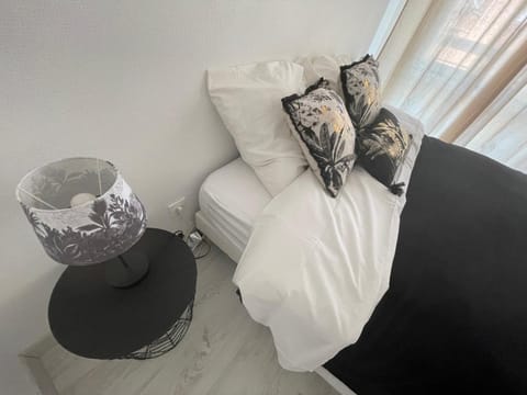 Le Grand DOLLFUS, 90m2 de charme au coeur de ville Apartment in Mulhouse