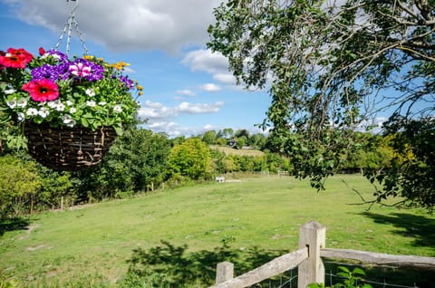 Lavender Lodge Bed and Breakfast in Arun District