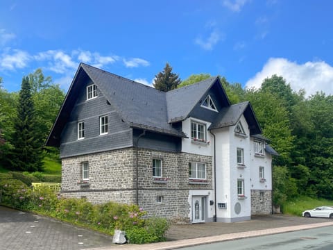 Villa die Sonne Apartments mit großem Garten Apartment in Willingen