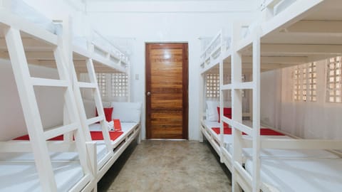 Bed, Photo of the whole room, Bedroom, bunk bed