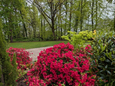 Campagne à la Ville Bed and Breakfast in Brittany