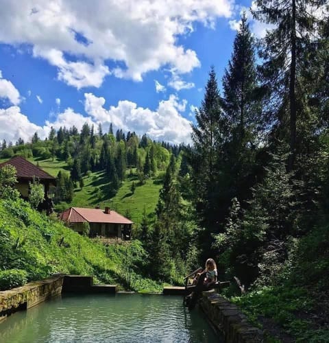 Лісова казка Bed and Breakfast in Lviv Oblast