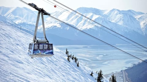 Drift to the Lift - Walk Almost Everywhere at Alyeska Resort from Bright Chalet! House in Girdwood