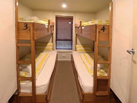 Bed, Photo of the whole room, Bedroom, bunk bed