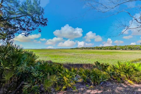 3117 Marsh View Apartment in Amelia Island