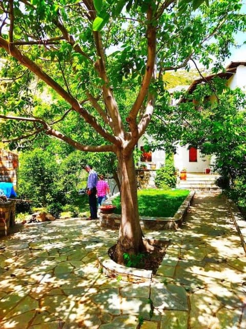 Archontiko Elena House in Magnesia Prefecture, Greece