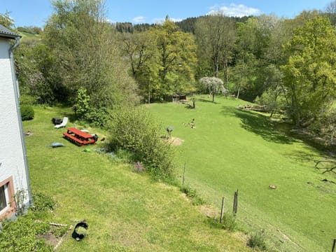 Spring, Natural landscape, Garden, Garden view