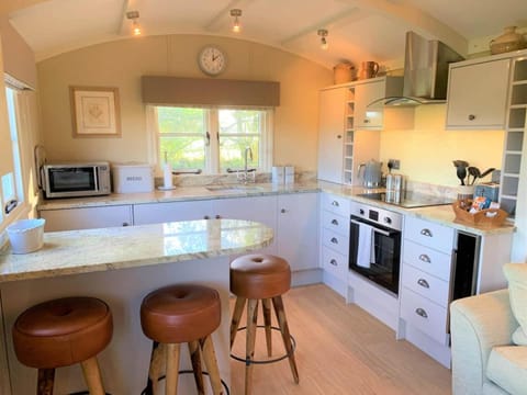 Luxury Shepherds Hut with Superb Views & Fire Pit & walking distance to a superb Gastro Pub Nature lodge in West Devon District