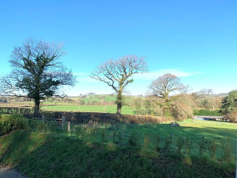 Stunning Shepherds Hut with Superb Views & Fire Pit near a Superb Gastro Pub Nature lodge in West Devon District