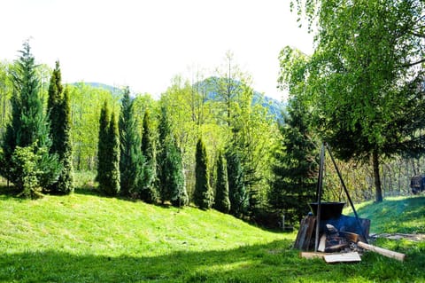 View (from property/room), Garden view