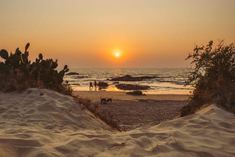 Natural landscape, Beach, Sunset