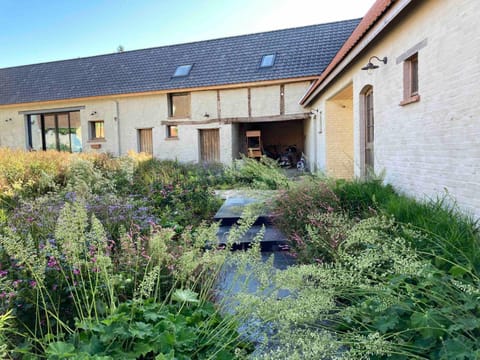 Property building, Day, Garden