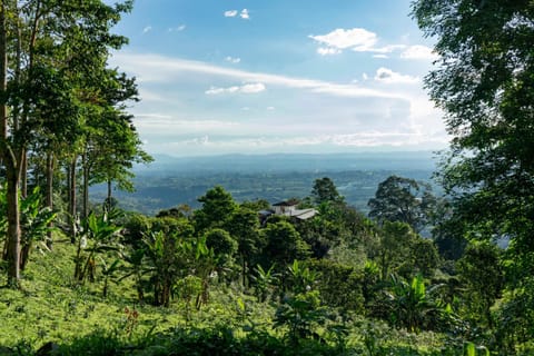 Natural landscape, Hiking