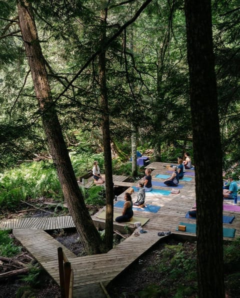 Auberge Yoga Salamandre Auberge de jeunesse in Lac-Brome