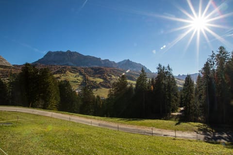 City view, Mountain view