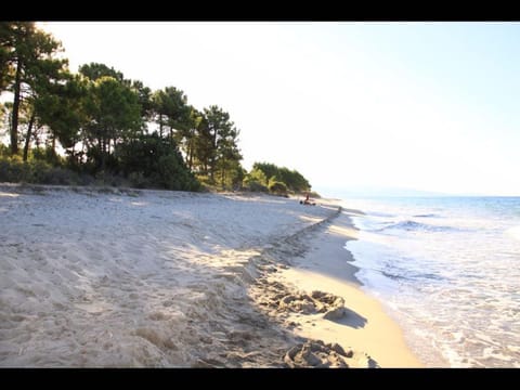 Natural landscape, Other, Beach