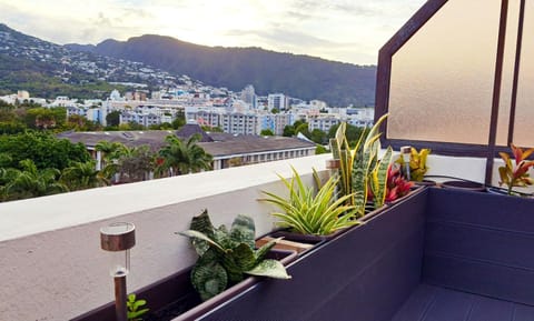 Rooftop - L'Appartement en Haut Apartment in Saint-Denis