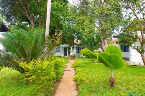 Cycad Palm Diani Bed and Breakfast in Diani Beach