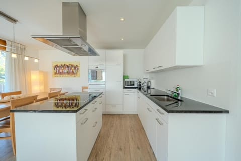 Kitchen or kitchenette, dishwasher, stove