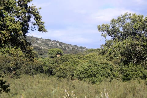 Natural landscape, Hiking