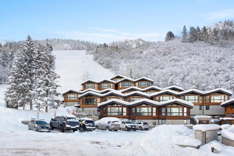 Shadow Mountain 10 House in Aspen