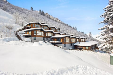 Shadow Mountain 10 House in Aspen