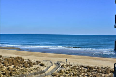 Summer Beach IV Apartment in Ocean City