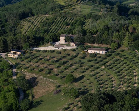 Property building, Bird's eye view