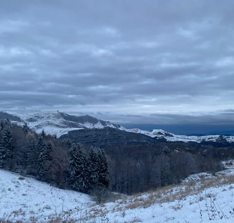 Natural landscape, Winter, Mountain view