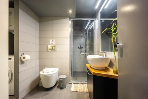 Shower, Toilet, Bathroom, bidet