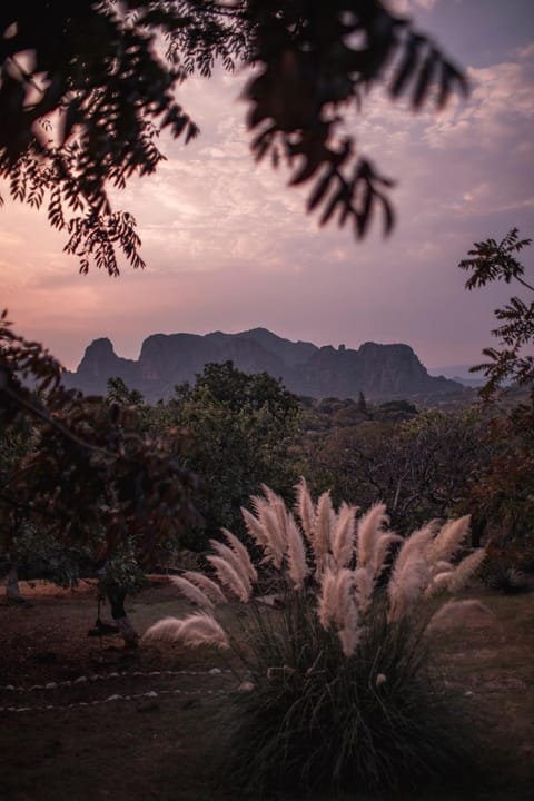 Natural landscape, Garden, Hiking, Mountain view, Sunset