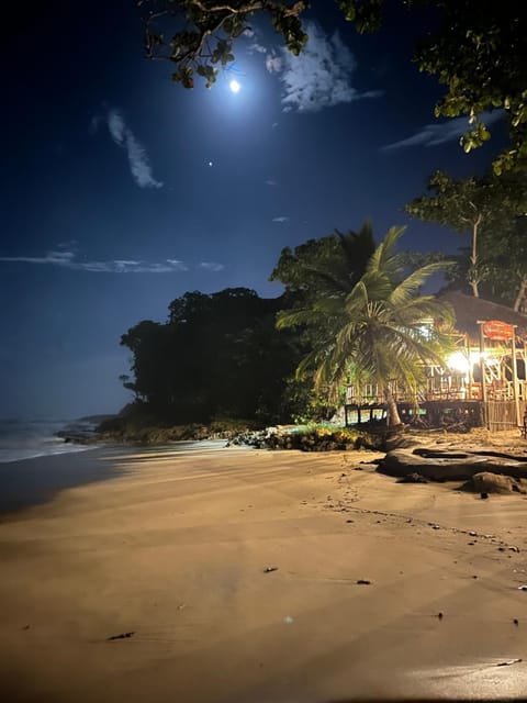 Beach Cabarete Lodge Eco De Luxe Encuentro Surf, Kite Nature lodge in Sosua