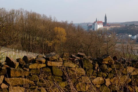 Quartier Rottewitz Wohnung in Meissen